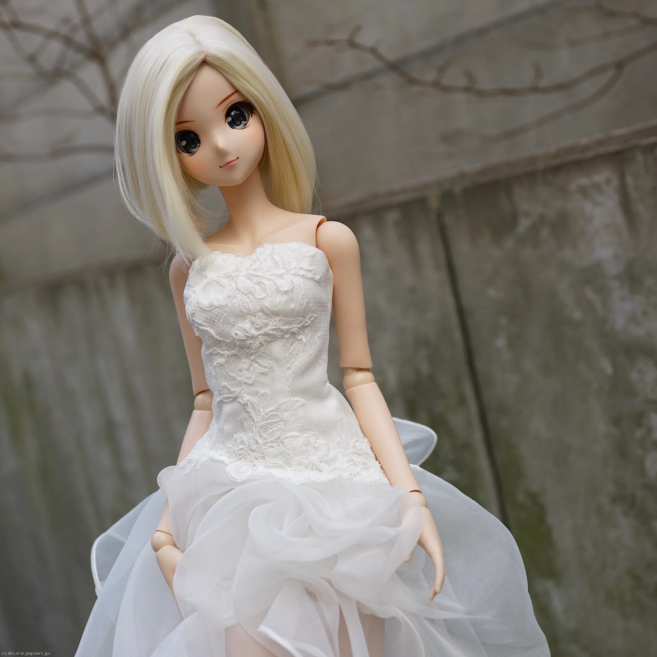 Bridal Dress 2018