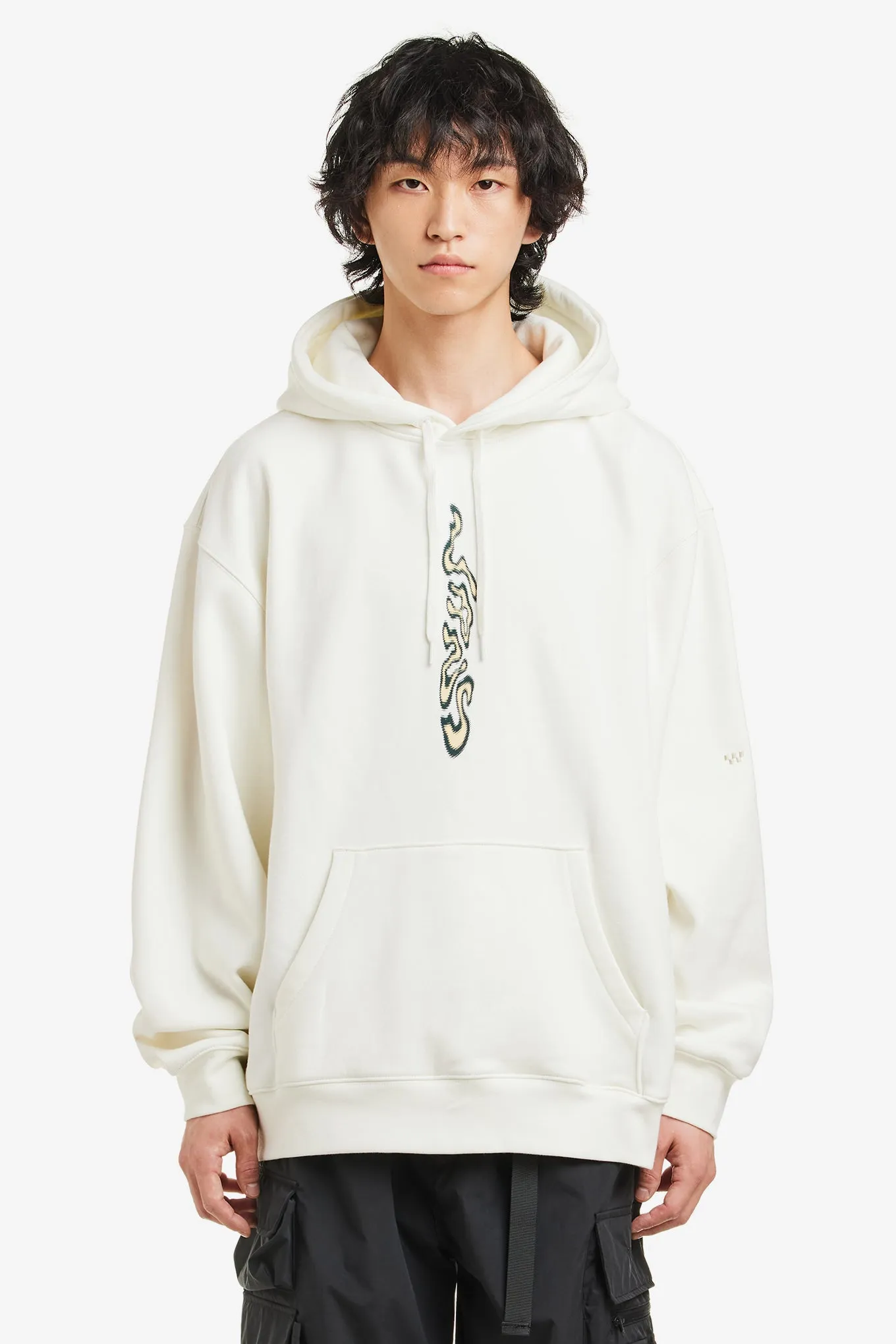 SKATE BLURB PO HOODED FLEECE