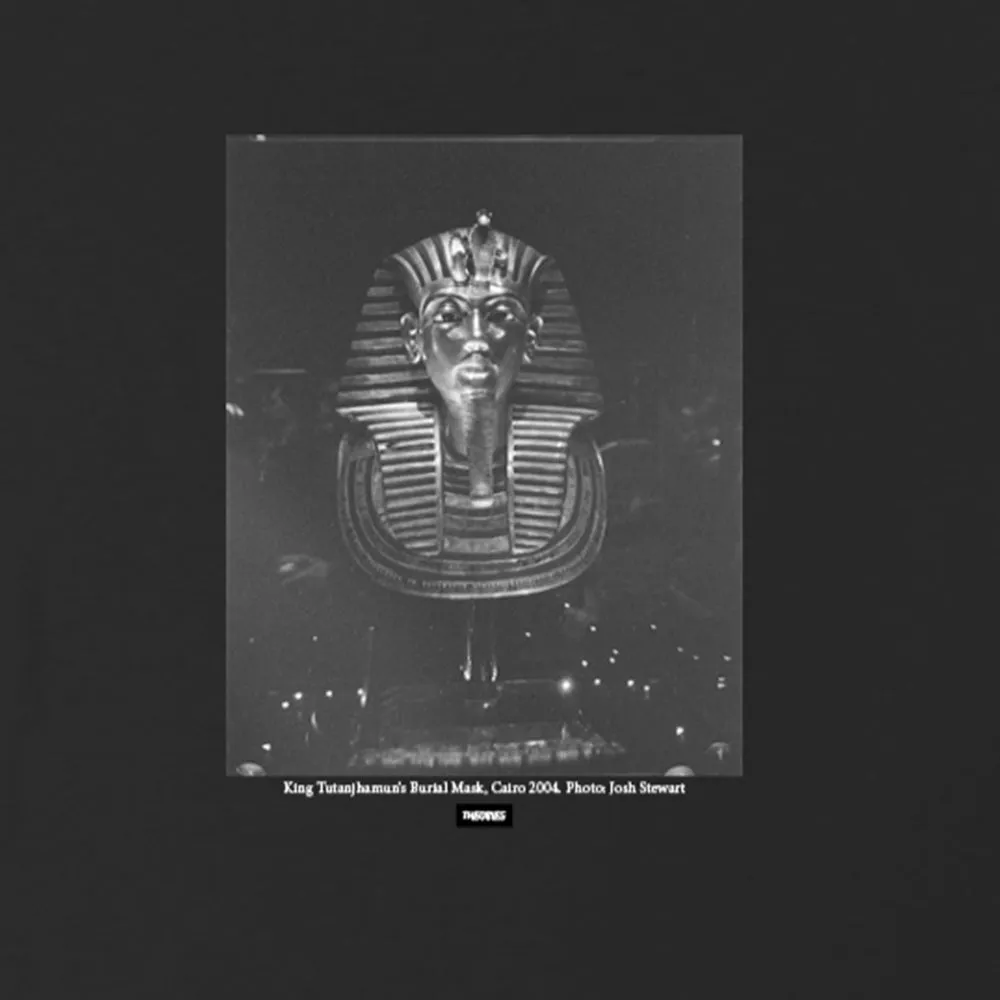 Theories KING TUT TEE